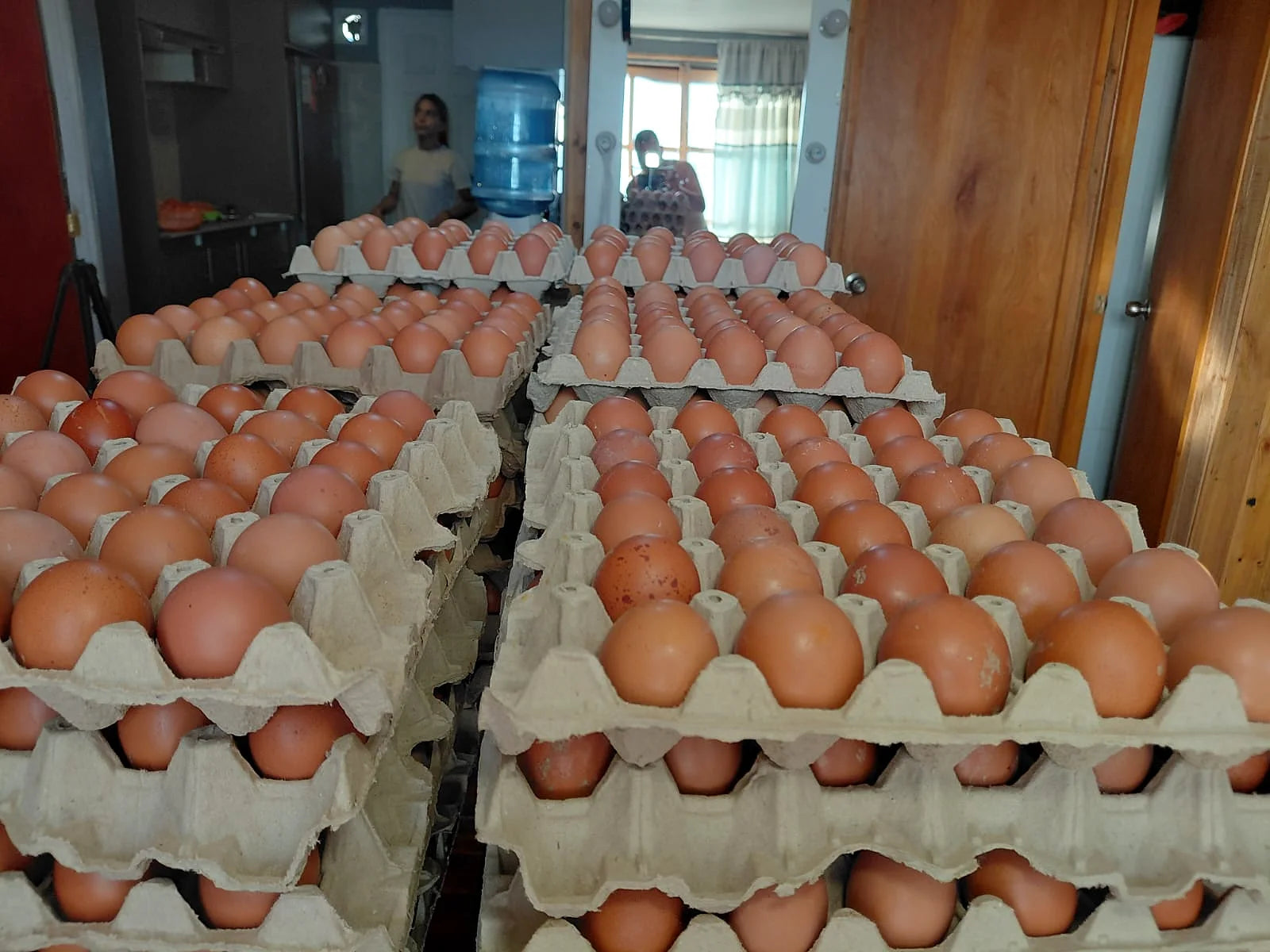 Cajas de huevos listas para entrega ABASTIK