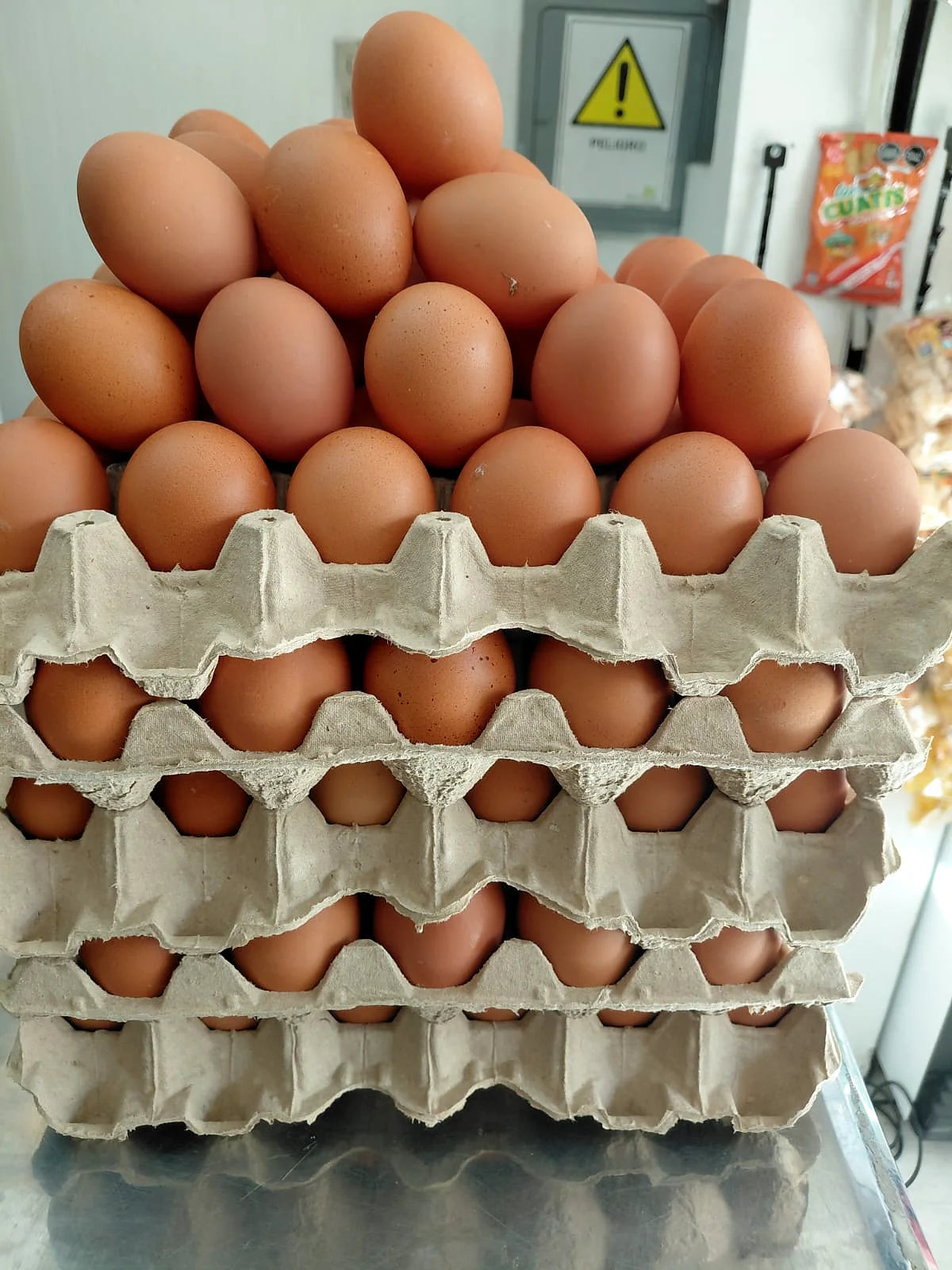 Huevos frescos ABASTIK