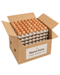 Huevo Extra — Caja de 180 unidades