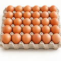 Bandeja de 30 huevos extra
