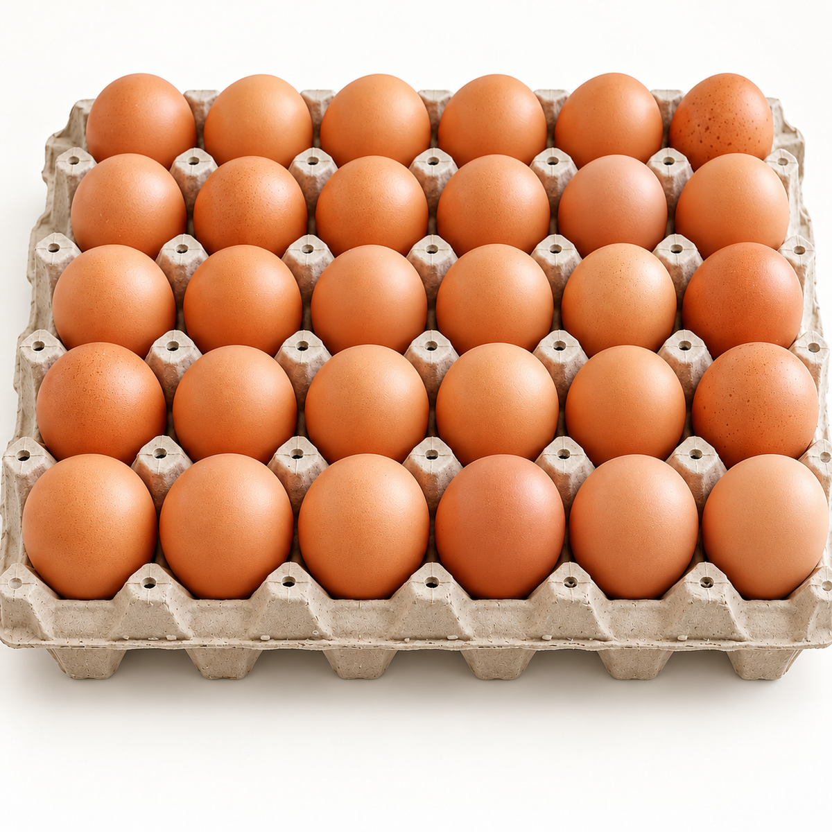 Bandeja de 30 huevos extra