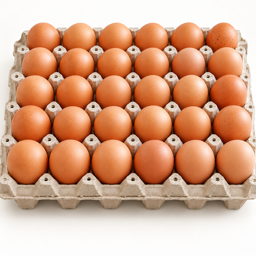 Bandeja de 30 huevos extra