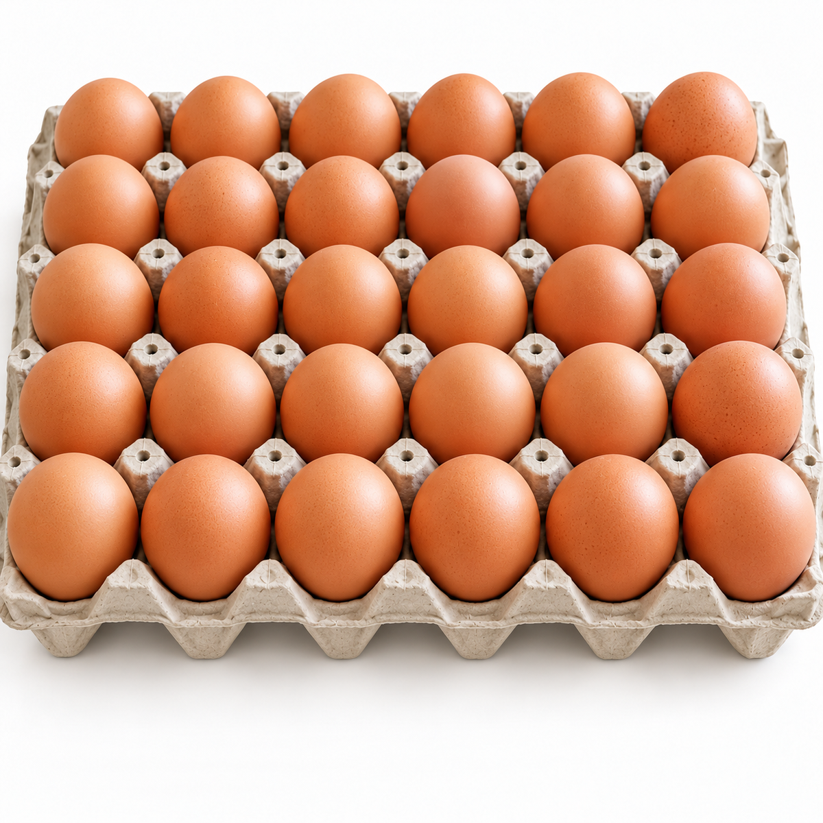 Bandeja de 30 huevos primera