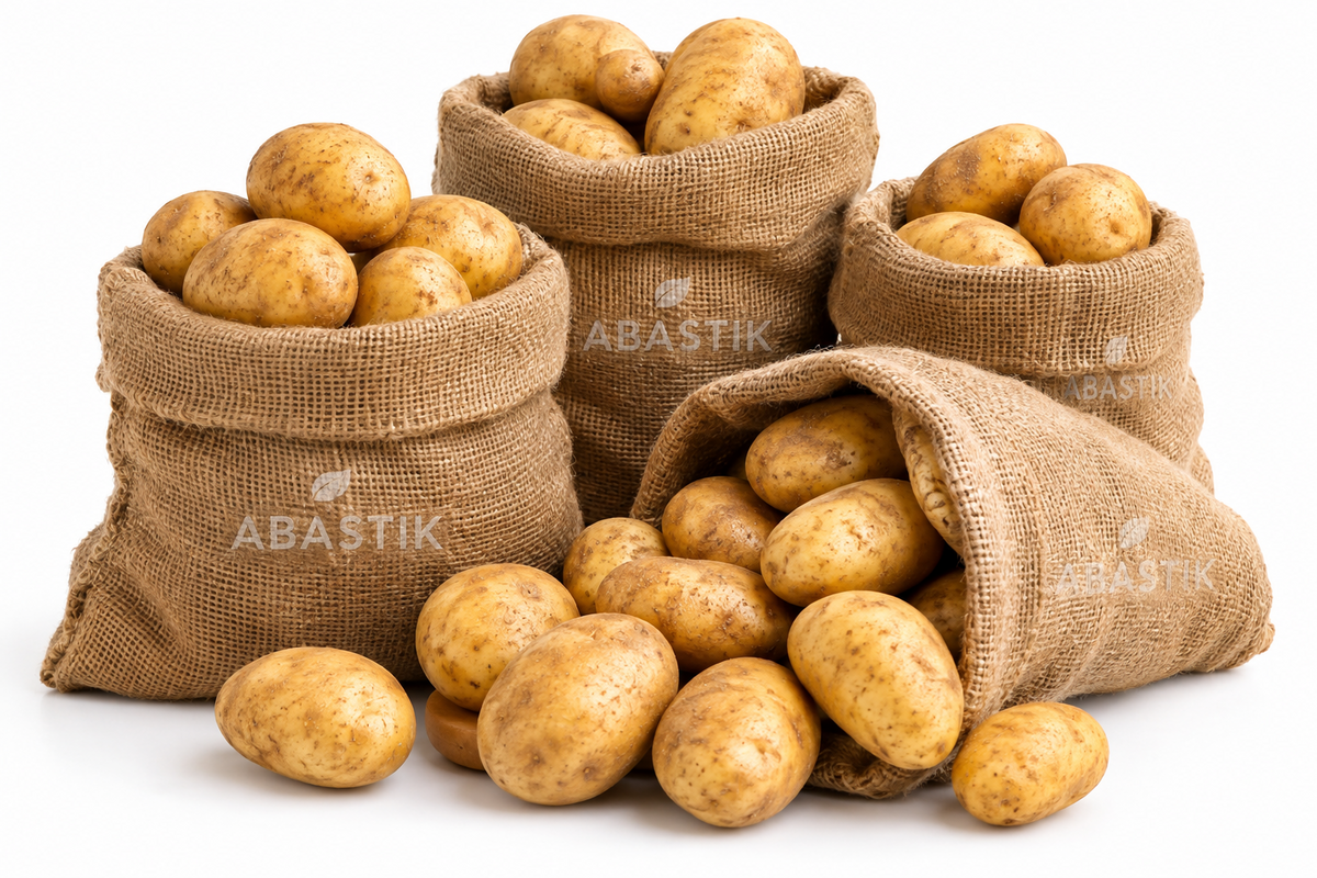 Papas — Formato para Hogar y Negocio